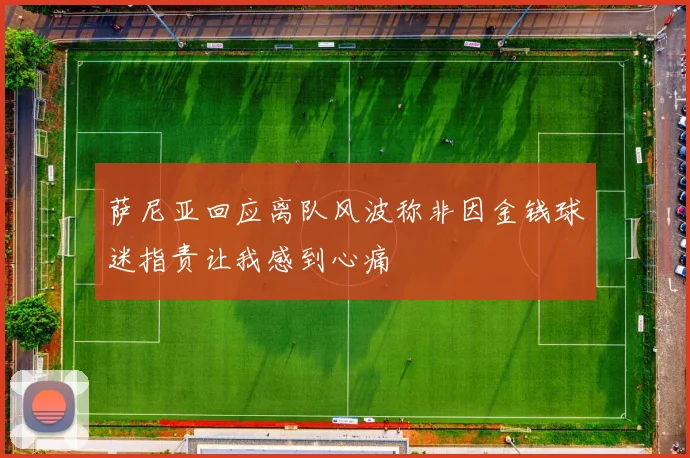 萨尼亚回应离队风波称非因金钱球迷指责让我感到心痛